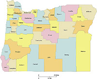 Oregon Forklift Certification Forklift Requirements For Or